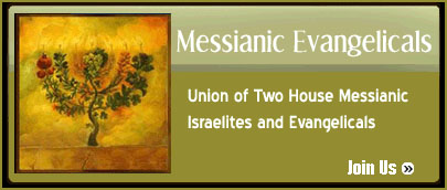 Messianic Evangelical Discussion Network